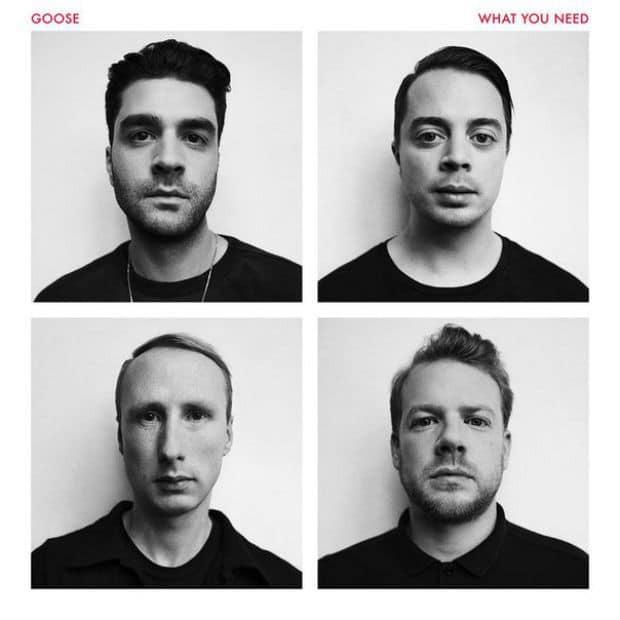 Goose - What You Need (Album)