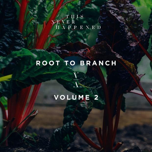 Lane 8 - Root to Branch, Vol. 2 – Атмосферный дип-хаус
