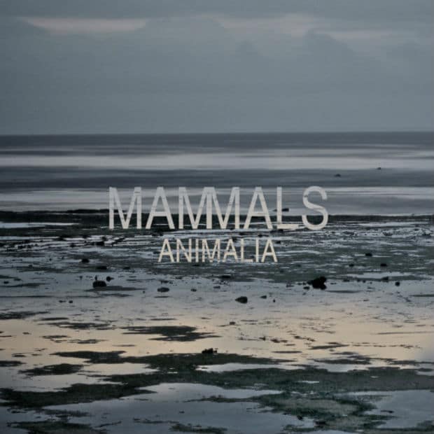 mammals-animalia-ep