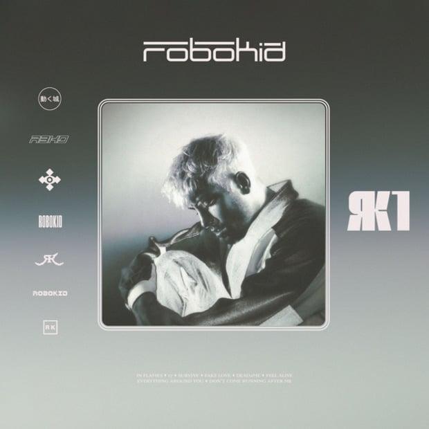 Robokid - RK1 – Экспериментальная инди электроника