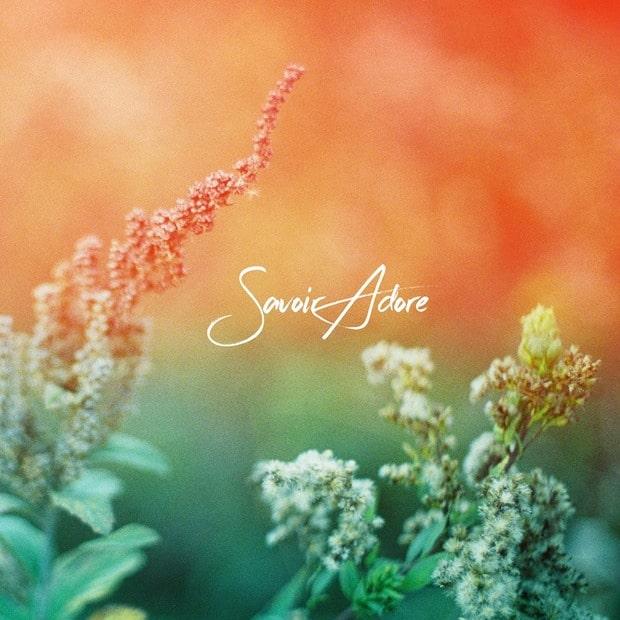 Savoir Adore - Full Bloom – Дрим-поп и ностальгия
