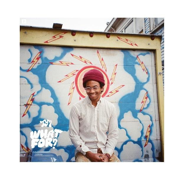 Toro Y Moi - What For